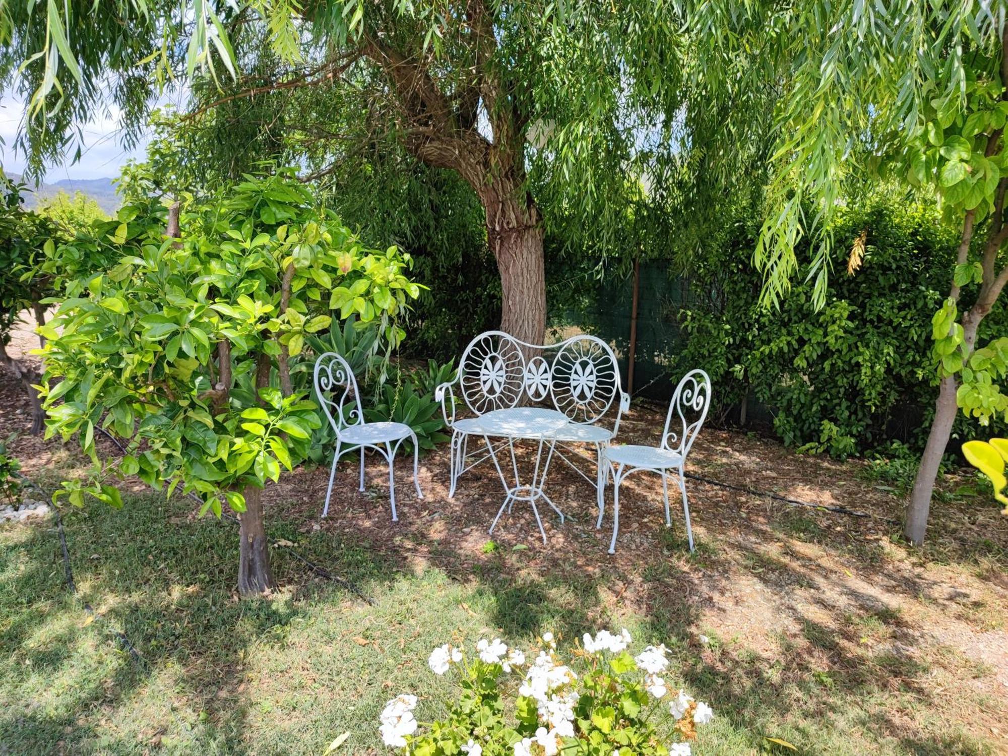 Els Tarongers Perfect For Families Or Friends Villa Sa Pobla Eksteriør bilde
